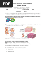 Uso e Precauções do Adalgur N | PDF | Gravidez | Amamentação