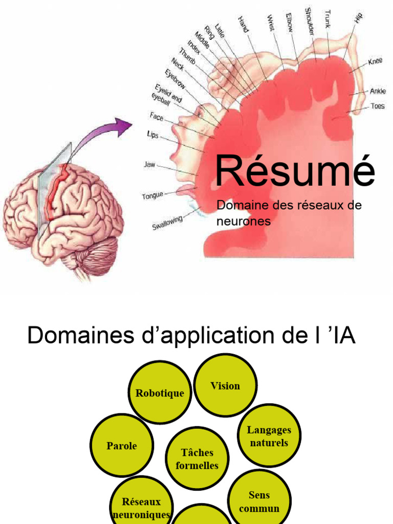 Cours 8 | PDF | Réseau de neurones artificiels | Intelligence artificielle