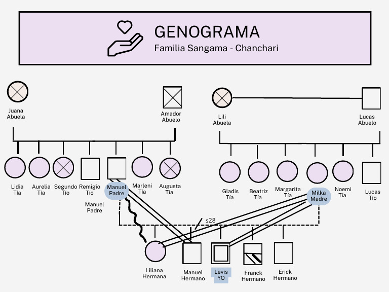 Genograma Familiar | PDF