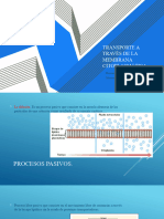 Transporte A Través de La Membrana Citoplasmática