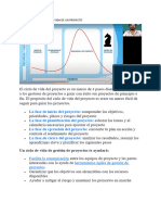 Estructuras Del Ciclo de Vida de Un Proyecto