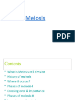 Meiosis