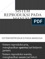 Sistem Reproduksi Pada Manusia