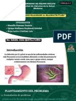 Factores de Riesgo Relaciónados Al Helicobacter Pylori