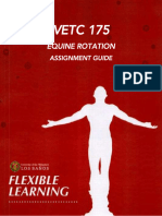 VETC 175 Equine Rotation Assignment Guide