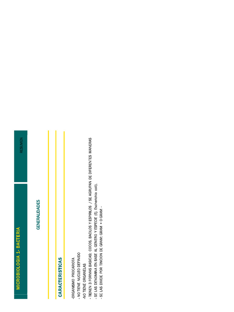 Fichas de micro teste pdf