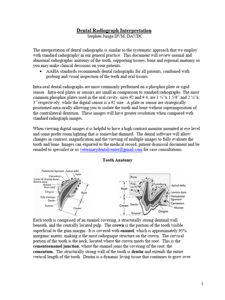 Dental Radiograph Interpretation PDF Periodontology Medical Specialties