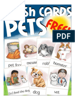 PETS Flash Cards English FREE-compressed