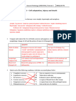 Tutorial-1 - With Answer