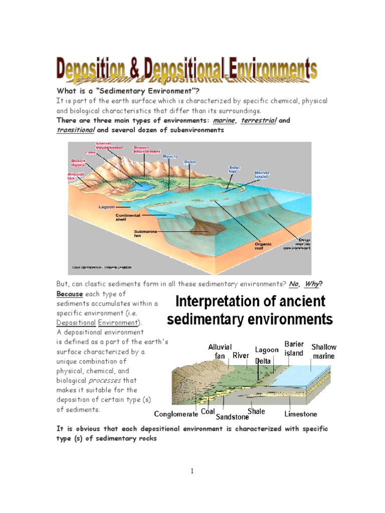 Depositional Environments | PDF | Sedimentary Rock | River Delta