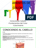 Fundamentos de Color Capilar