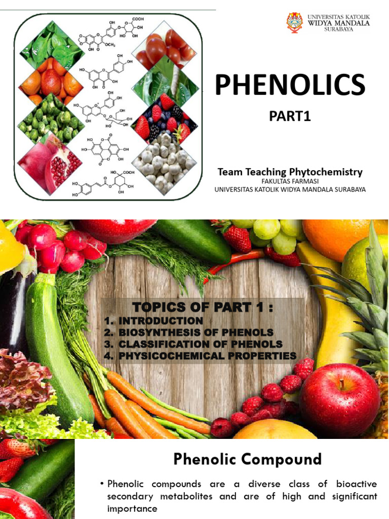 PHENOLICS part 1 PDF Phenolic Content In Wine Polyphenol