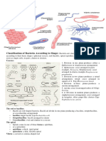 Basic Microbiology Part-4