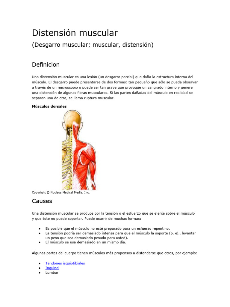 Distensión Muscular | PDF | Músculo esquelético | Dolor