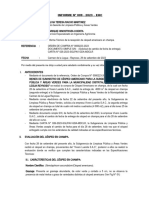 Informe Tecnico #009 - Segunda Entrega de Grass en Champa