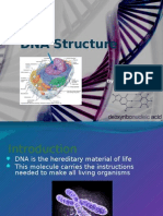 DNA Structure Power Point