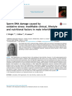 Sperm DNA Damage Caused by Oxidative Stress: Modifiable Clinical, Lifestyle and Nutritional Factors in Male Infertility