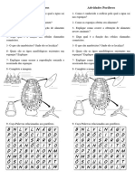 Atividades Poríferos