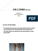 ANA212 - Oesteology of Lower Limbs 2020