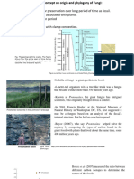 Recent Concept of Origin and Phylogeny in Fungi.