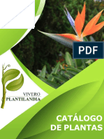 Catalogo Plantilandia V21nov23