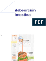 1 - Malabsorcion Intestinal 2023