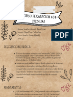 RECURSO DE CASACION PENAL II