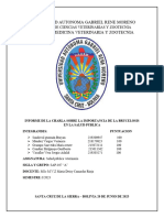 Informe de Brucelosis