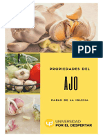 Alimentos Ajo-2022