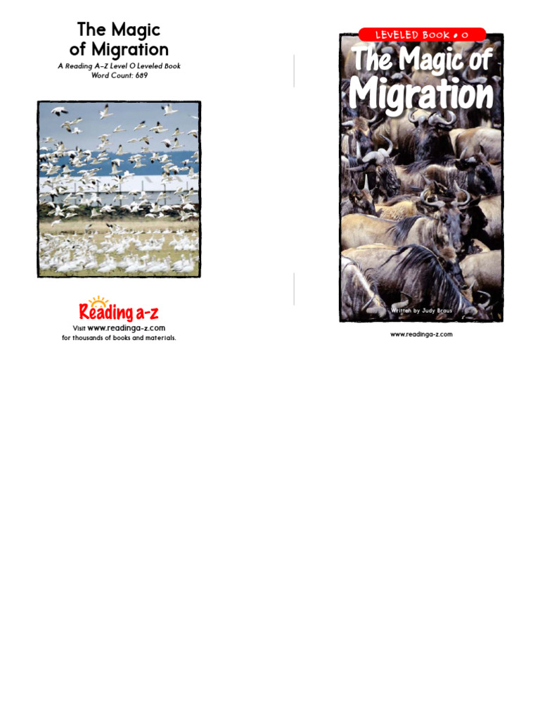 Young Readers' Migration Guide | PDF | Sea Turtle | Bird Migration