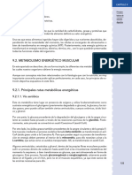 Metabolismo Energético Aeróbico y Anaeróbico