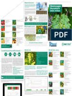 Disease Models Brochure 2018 IT WEB