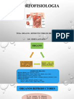 Definicion de Organos