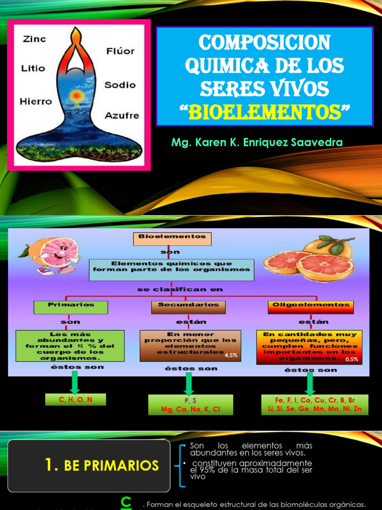 bioelementos-primarios-oligoelementos-pdf-biomol-culas-insulina