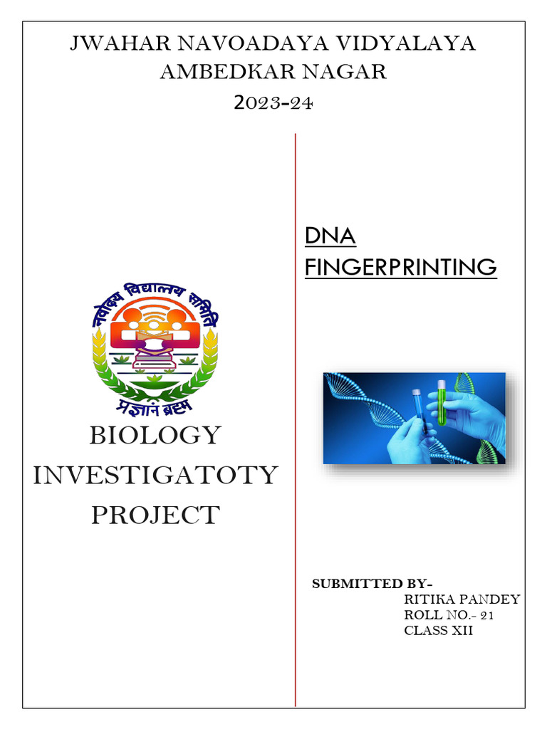 Class 12 Investigatory Project on DNA | PDF | Dna Profiling | Dna