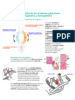 Tema 5. Funcionalidad de Las Proteínas Globulares