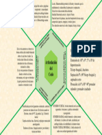 Cuadro de Codo PDF