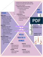 Articulación Del Codo G2