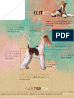Fox Terrier - Peluqueria Canina