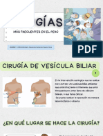 Cirugías Más Frecuentes en El Perú