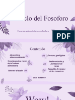 Ciclo Del Fosforo