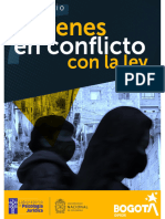 Seminario Jóvenes en Conflicto Con La Ley