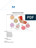 Biomecanica en Tejidos