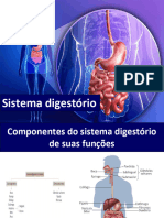 Sistema Digestório