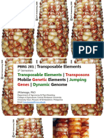 PBRG 201 Plant Ttransposons (Consolidated)
