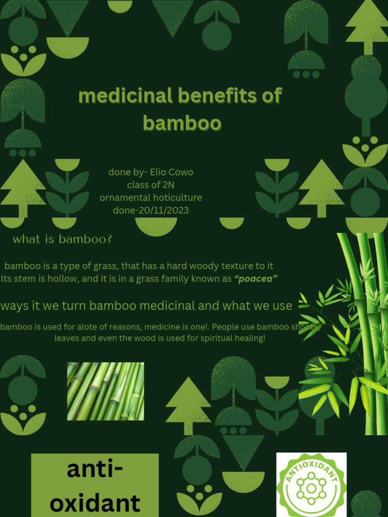 Bamboo PDF Diabetes Cardiovascular Diseases