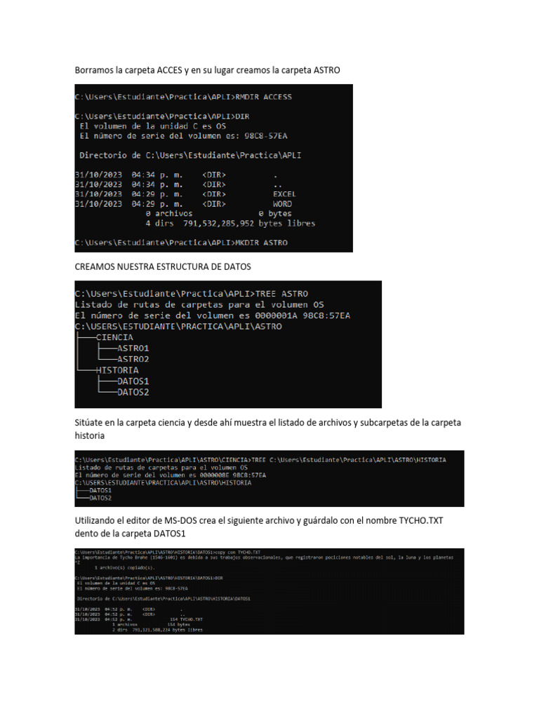Estructura y gestión de archivos en MS-DOS | PDF | Informática