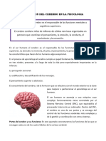La Funcion Del Cerebro en La Psicologia XXXXXXXXX