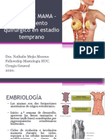 Tratamiento Quirúrgico - Cáncer de Mama