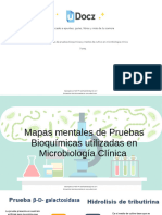 Mapas Mentales de Pruebas Bioquimicas y Medios de Cultivo en Microbiologia Clinica 243692 Downloable 2928626